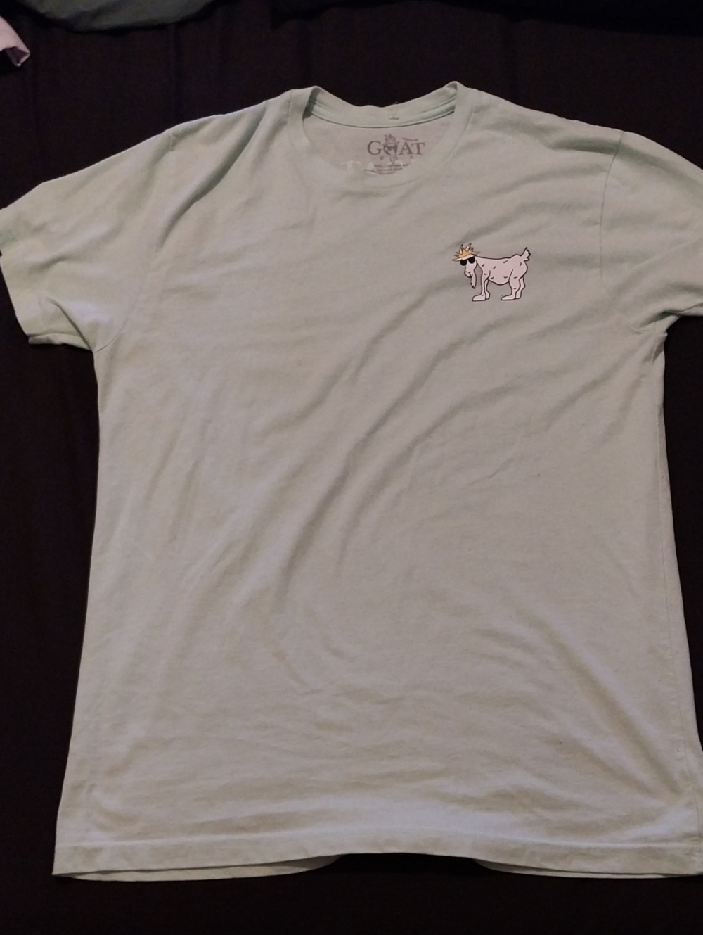 Men’s Light Mint Graphic Tee - Goat Logo